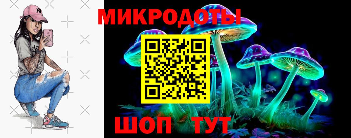 Псилоцибиновые грибы Cubensis Лыткарино